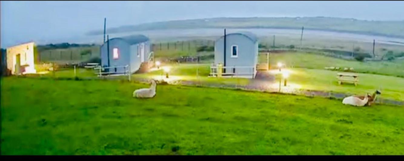 The Snuggly Sheep Shepherd Hut Farm Stay Балишанън Екстериор снимка